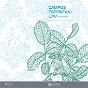 Campus Espontani Upv - Preview