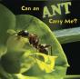 Can An Ant Carry Me? - Preview