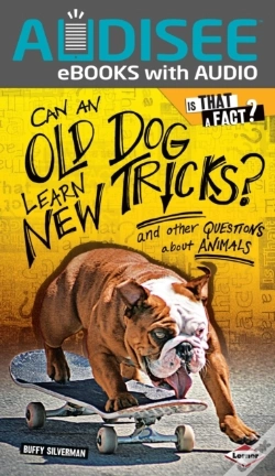Capa do artigo Can An Old Dog Learn New Tricks?