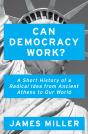Can Democracy Work? - Preview