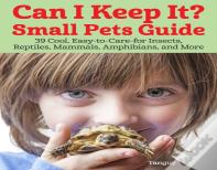 Can I Keep It? Small Pets Guide