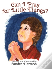 Can I Pray For Little Things?