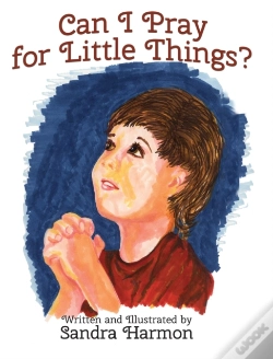 Capa do artigo Can I Pray For Little Things?
