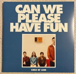 Capa do artigo Can We Please Have Fun - Vinil
