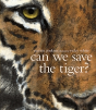 Can We Save The Tiger? - Preview
