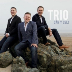 Capa do artigo Can Y Celt - CD