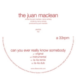 Capa do artigo Can You Ever Really Know Somebody - Vinil