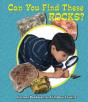 Can You Find These Rocks? - Preview