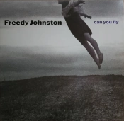 Capa do artigo Can You Fly - Vinil