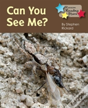 Capa do artigo Can You See Me
