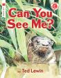 Can You See Me? - Preview