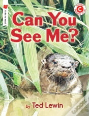 Capa do artigo Can You See Me?