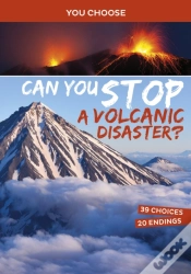 Capa do artigo Can You Stop A Volcanic Disaster?