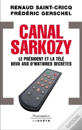 Canal Sarkozy ; Le Président Et La Télé, Deux Ans D'Histoires Secrètes