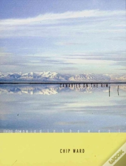 Capa do artigo Canaries On The Rim
