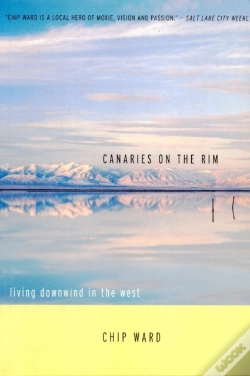 Capa do artigo Canaries On The Rim