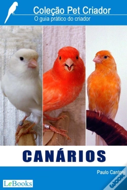 Capa do artigo Canários