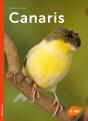 Canaris - Preview