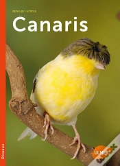 Capa do artigo Canaris