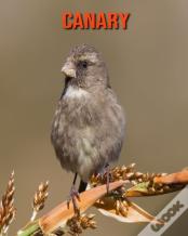 Canary