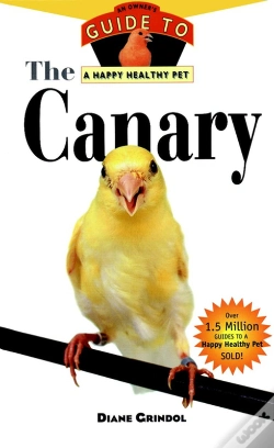 Capa do artigo Canary