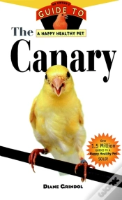 Capa do artigo Canary