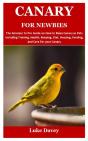 Canary For Newbies - Preview