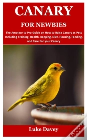 Capa do artigo Canary For Newbies