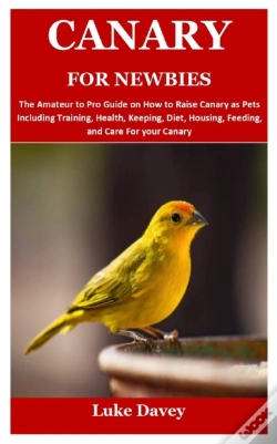 Capa do artigo Canary For Newbies