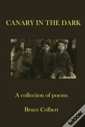 Capa do artigo Canary In The Dark