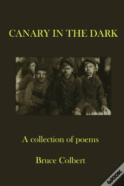 Capa do artigo Canary In The Dark