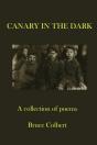 Canary In The Dark - Preview