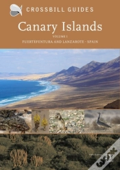 Capa do artigo Canary Islands
