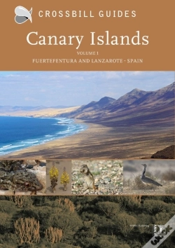 Capa do artigo Canary Islands