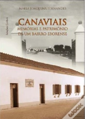 Capa do artigo Canaviais