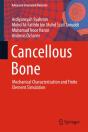 Cancellous Bone - Preview