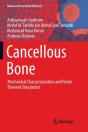Cancellous Bone - Preview