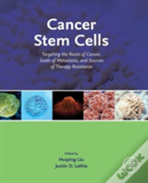 Cancer Stem Cells