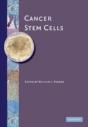 Cancer Stem Cells - Preview