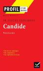Candide De Voltaire ; 10 Textes Expliqués - Preview