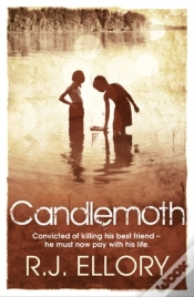 Capa do artigo Candlemoth