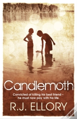 Capa do artigo Candlemoth