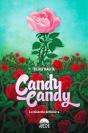 Candy Candy La Historia Definitiva - Preview