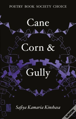 Capa do artigo Cane, Corn & Gully