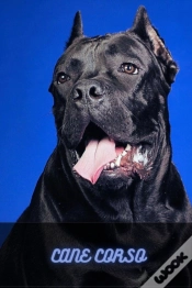 Capa do artigo Cane Corso