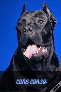Capa do artigo Cane Corso