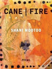 Capa do artigo Cane Fire