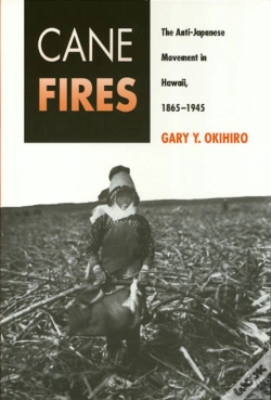 Capa do artigo Cane Fires