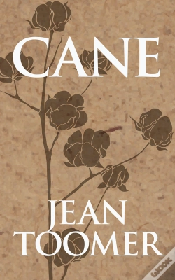 Capa do artigo Cane