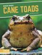 Cane Toads - Preview